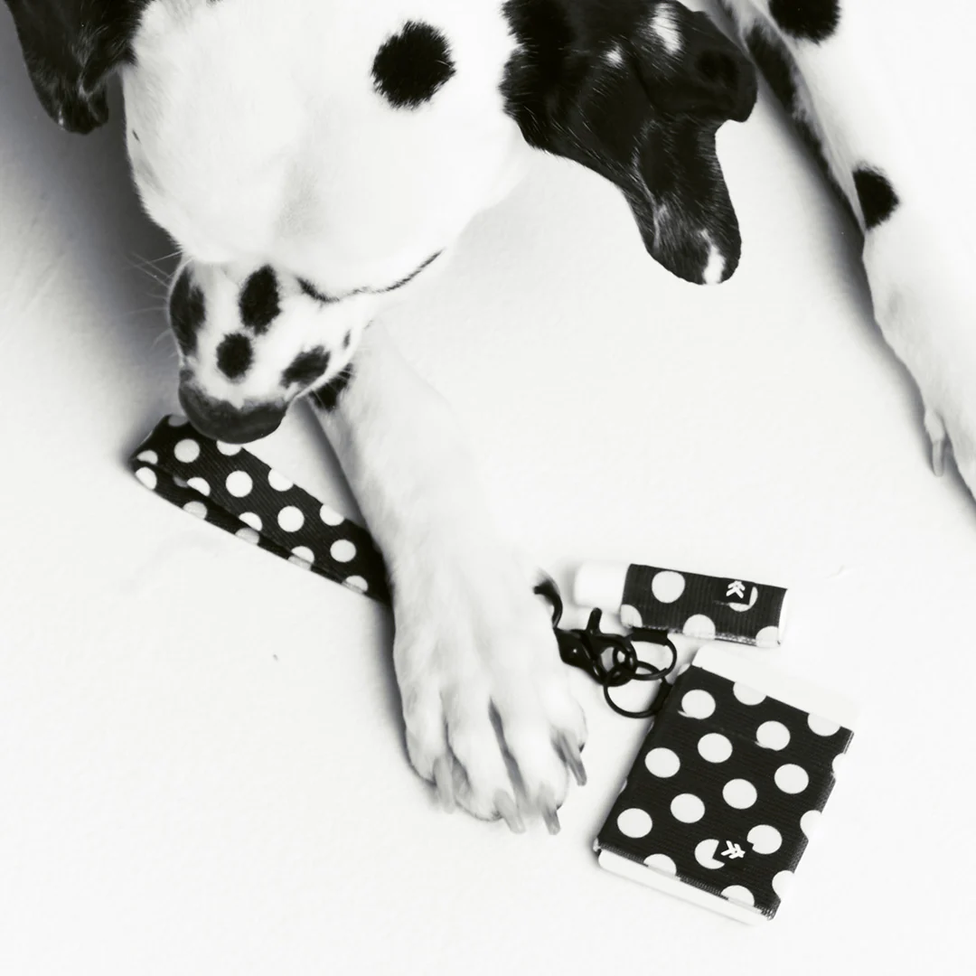 Polka Dot - Chapstick Holder Keychain - Image 3