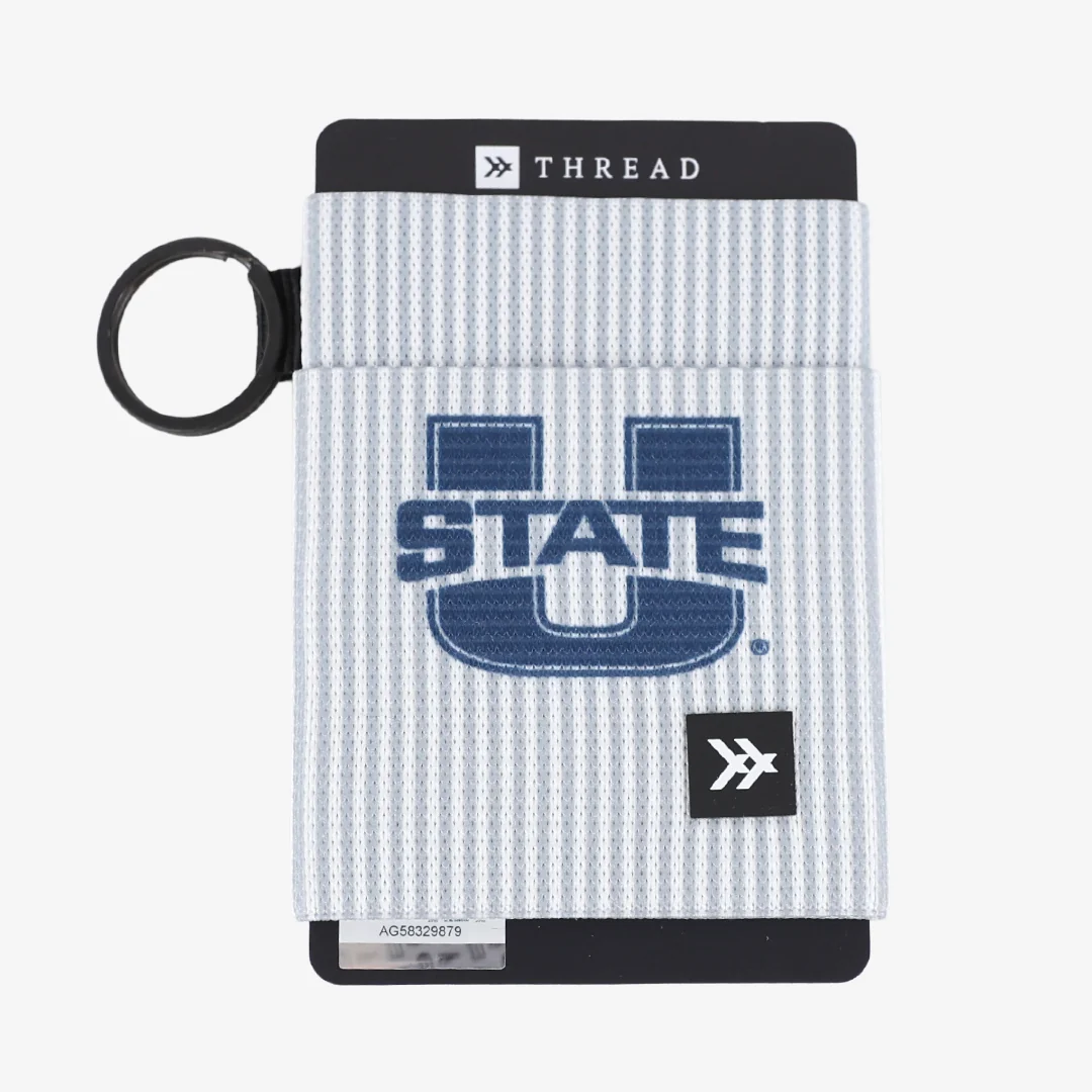 USU A - Elastic Wallet